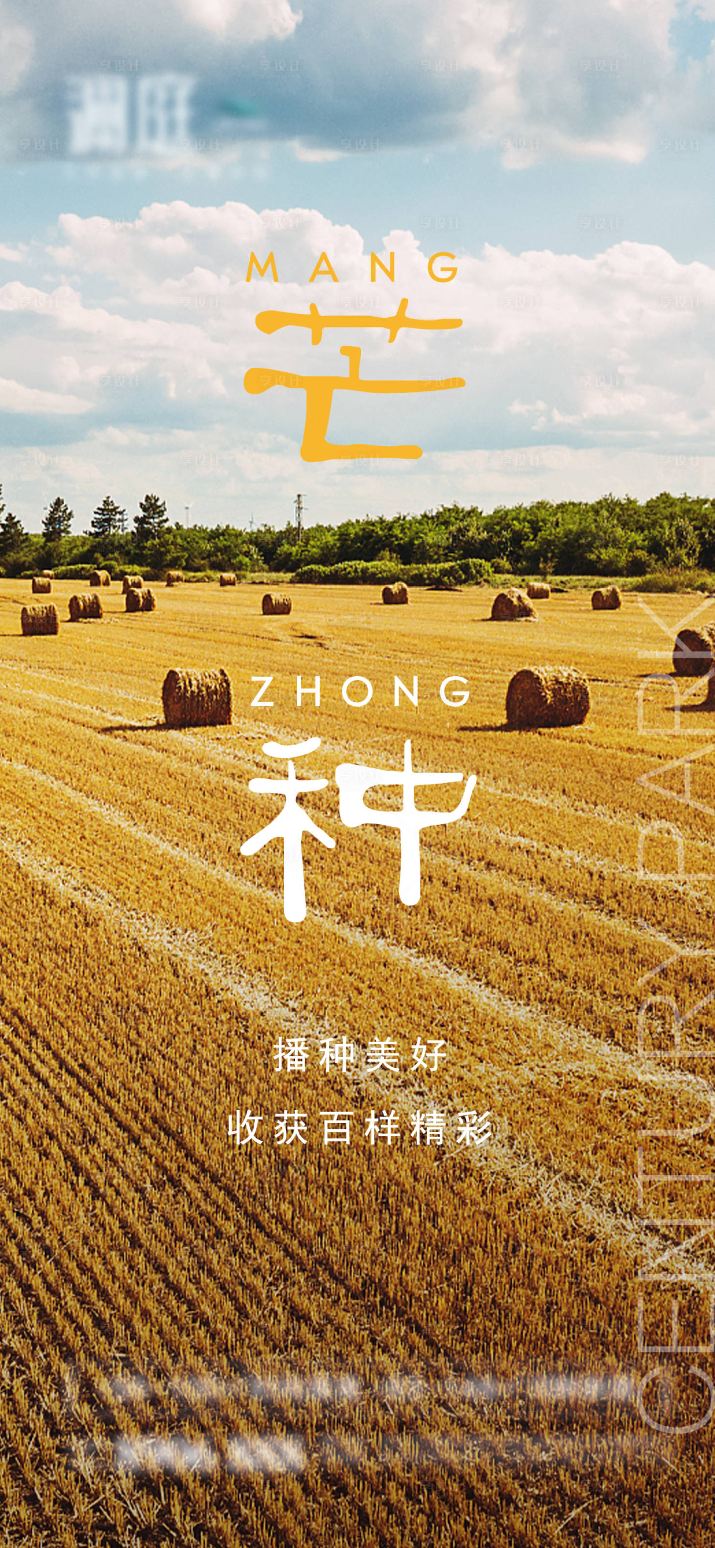 源文件下载【芒种节气海报】编号：20860004554674448