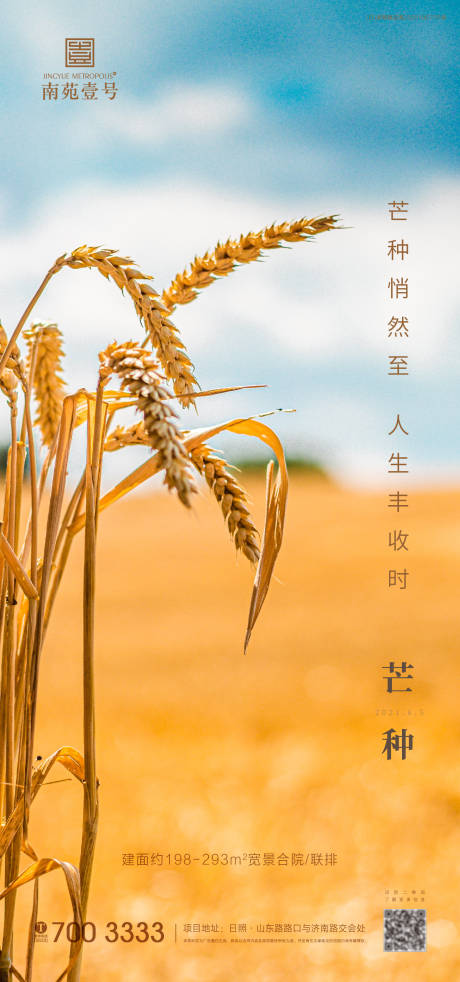 源文件下載【芒種海報】編號：73780004716913495
