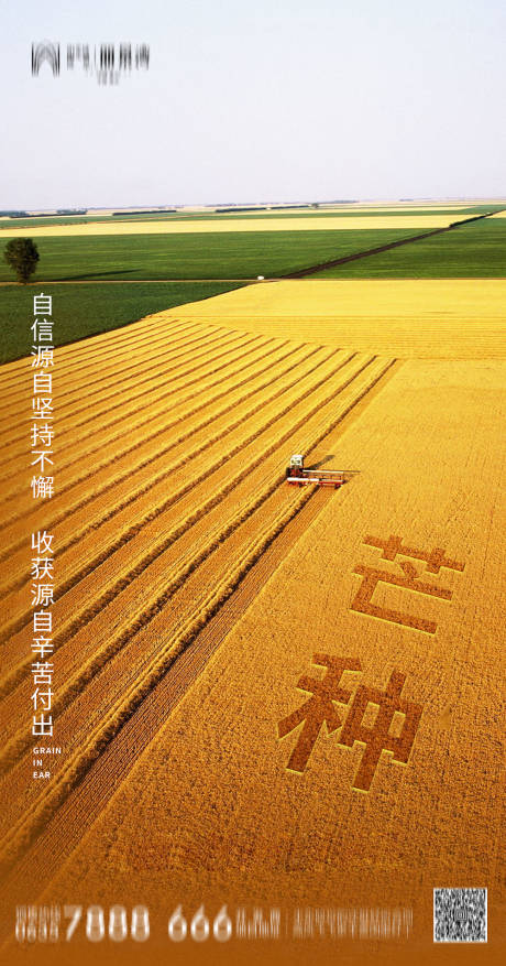 源文件下载【芒种节气海报】编号：55860004902038997