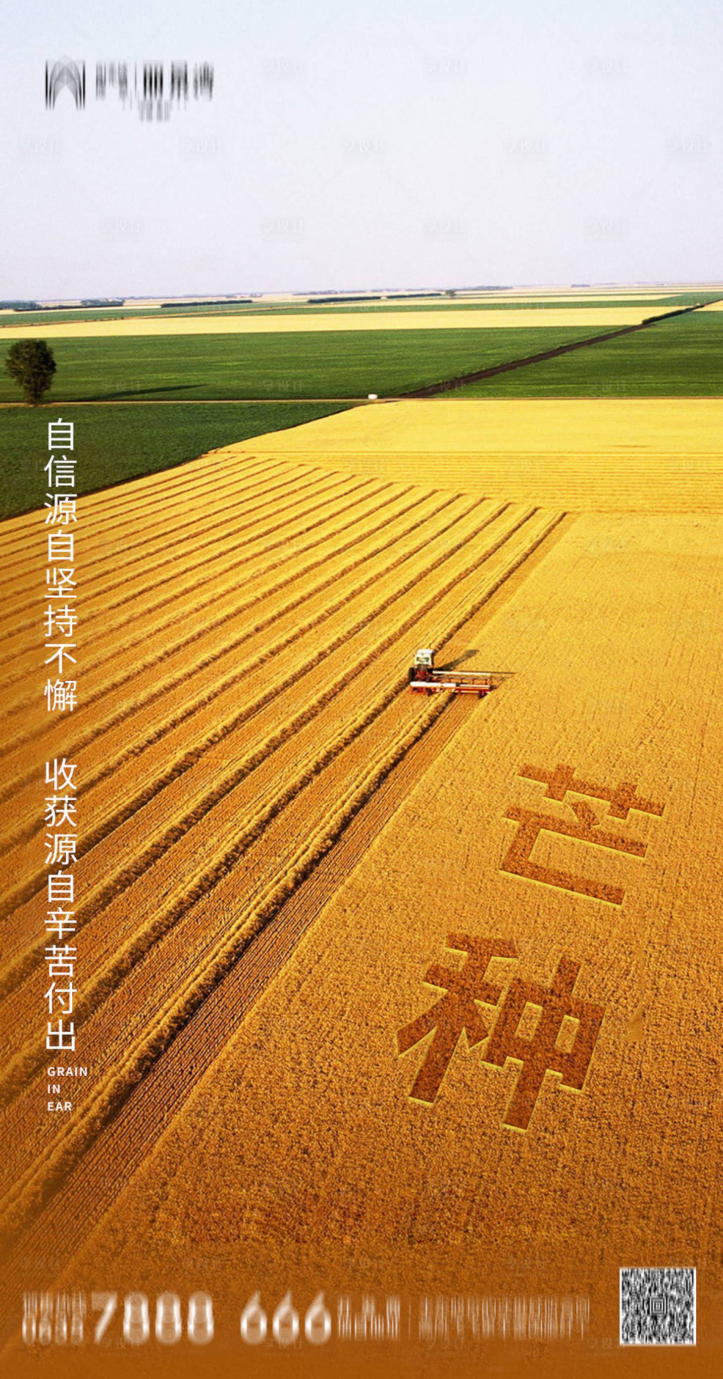 源文件下载【芒种节气海报】编号：55860004902038997