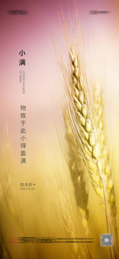 源文件下载【小满节气海报】编号：10700004551365791