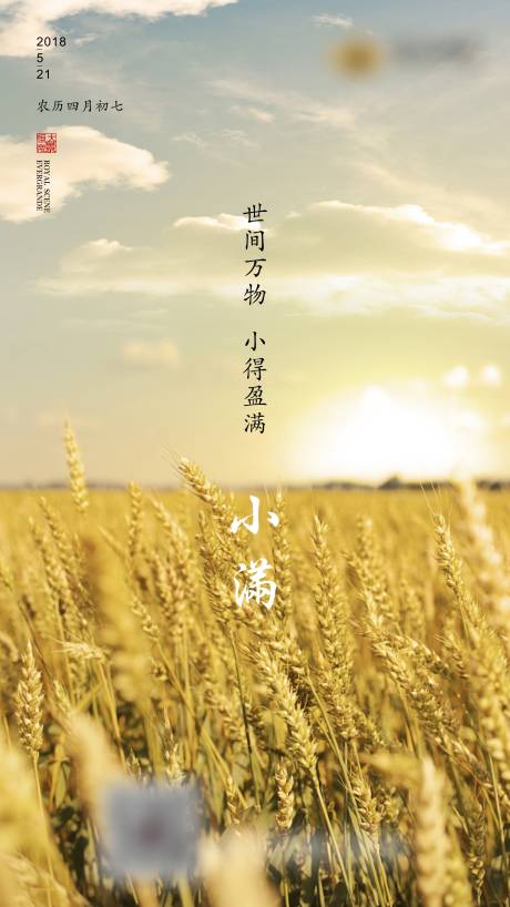 源文件下載【地產二十四節氣小滿】編號：83370004712379356