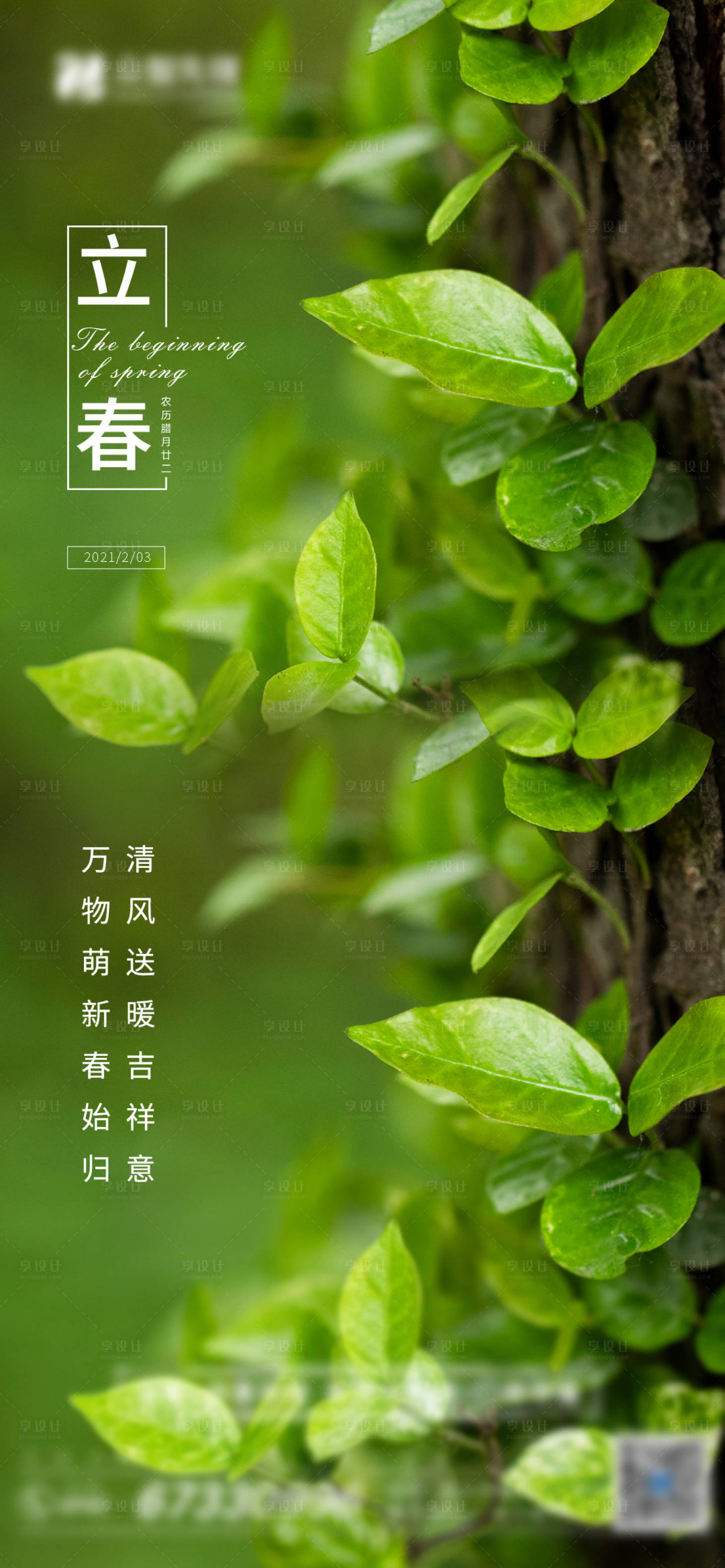 源文件下载【立春海报】编号：17540004567527036