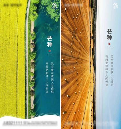源文件下载【芒种节气海报系列】编号：35340004843321697