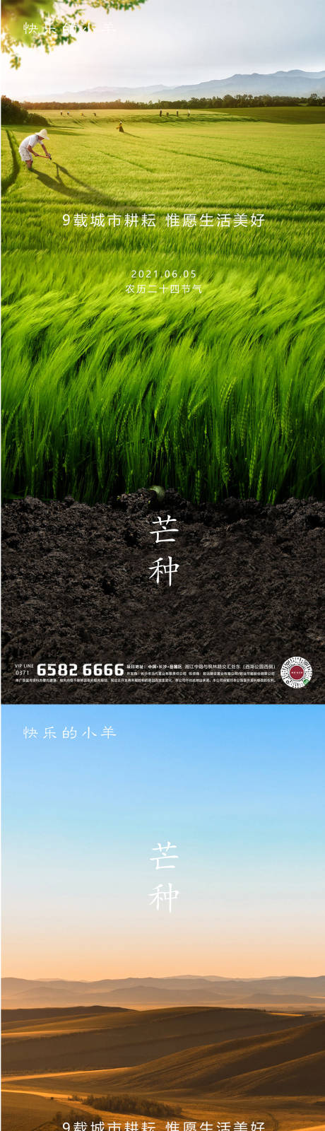 源文件下载【享设计】搜索编号：62110004536864023【芒种节气海报】