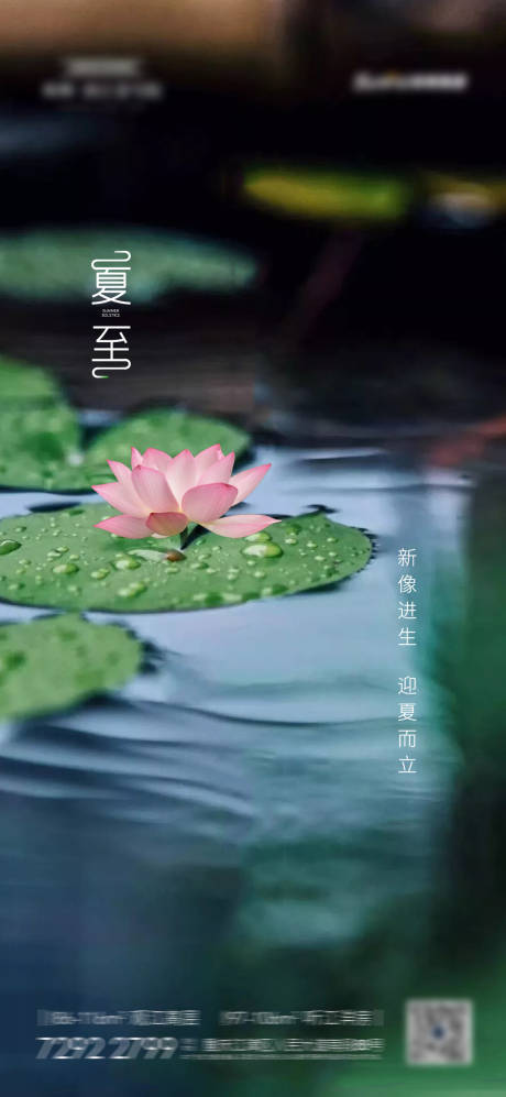 源文件下载【夏至节气海报】编号：87740004526968485