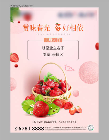 源文件下载【摘草莓活动海报】编号：67370004661636917
