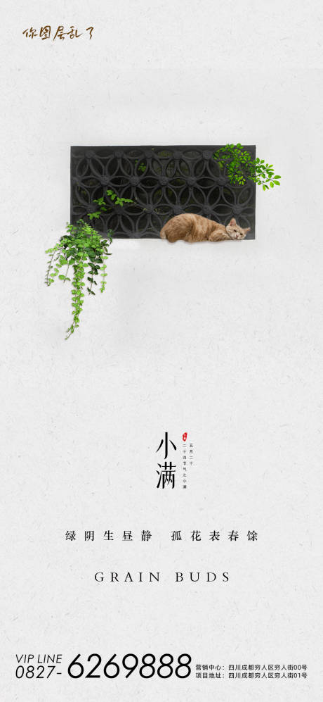 源文件下载【小满简约节气海报】编号：30250004646834746