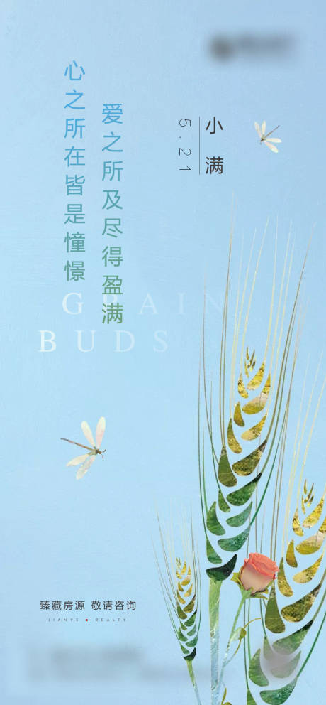 源文件下載【小滿節氣微信海報】編號：42250004544884773