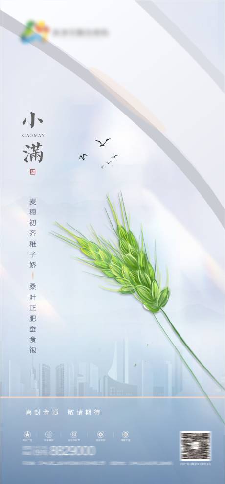 源文件下载【小满节气海报】编号：82800004635863802