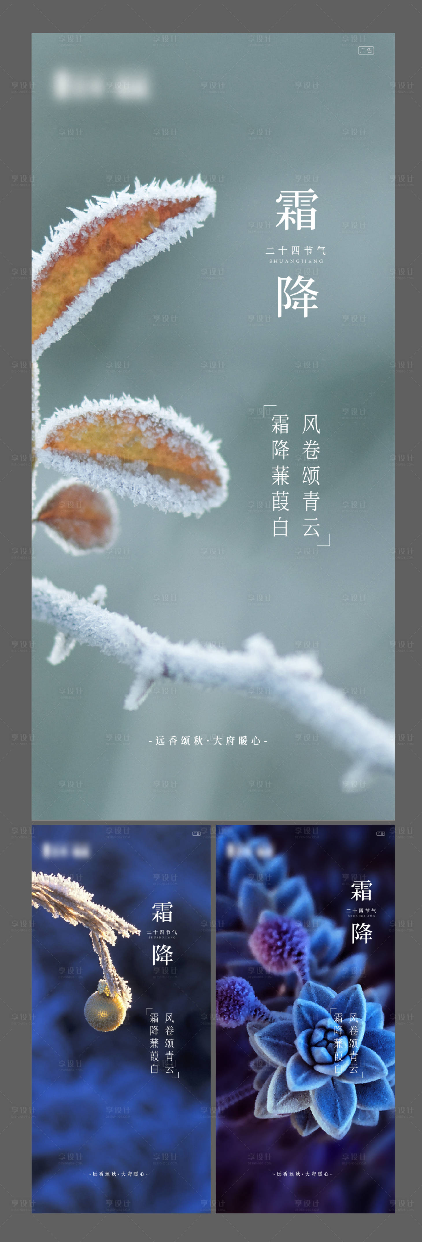 源文件下載【霜降海報】編號：75540004657067700