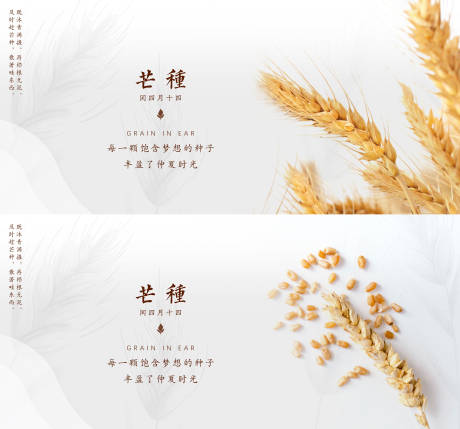 源文件下載【享設計】搜索編號：69850004821173788【芒種節氣系列海報展板】