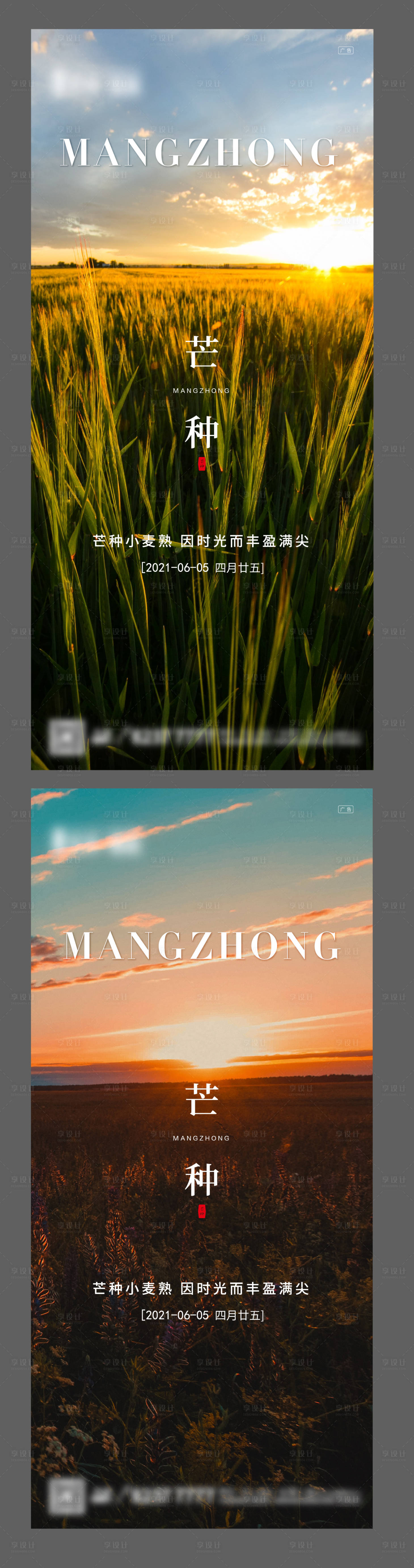源文件下载【芒种节气海报系列】编号：20210512001706508