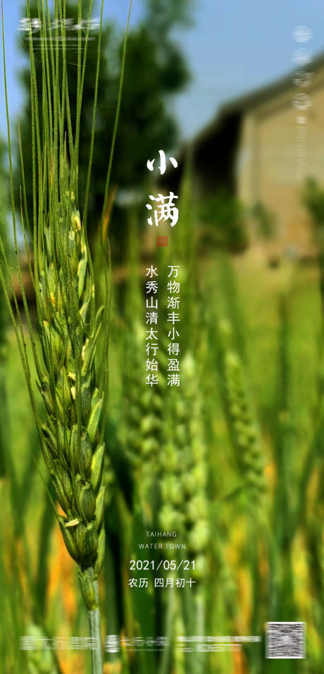 源文件下载【地产小满节气海报】编号：72070004830063118