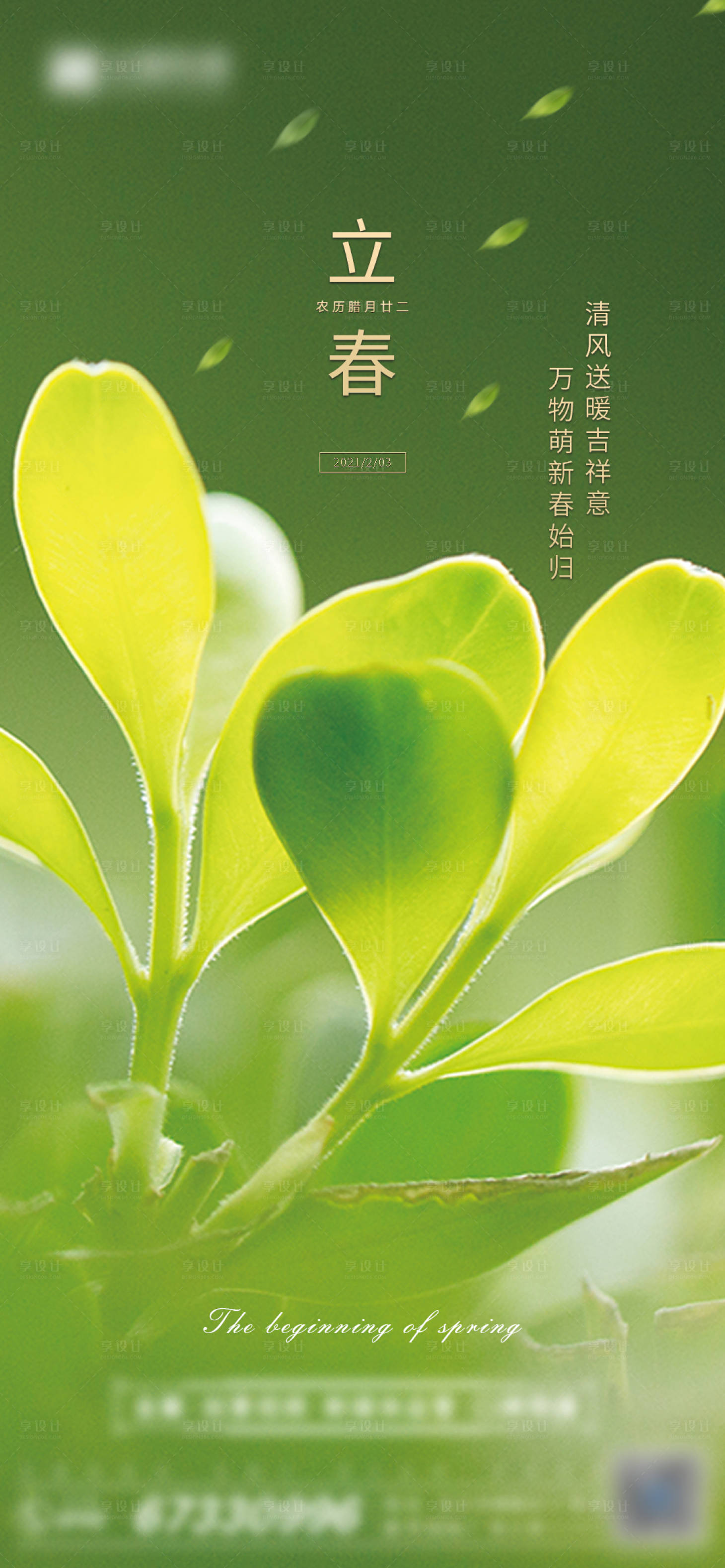 源文件下载【立春海报】编号：21700004567423472