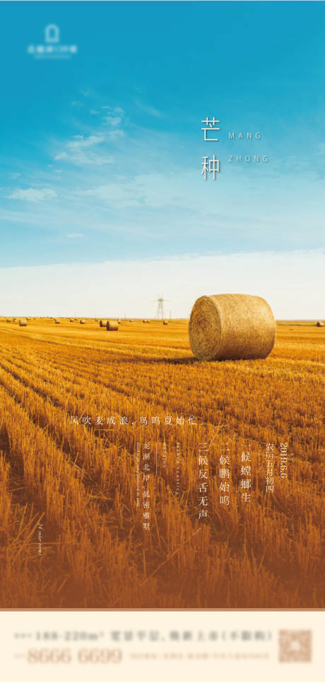 源文件下載【地產(chǎn)芒種海報(bào)】編號(hào)：56630004817645919