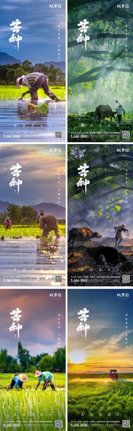 源文件下载【芒种节气系列海报】编号：85940004877998209