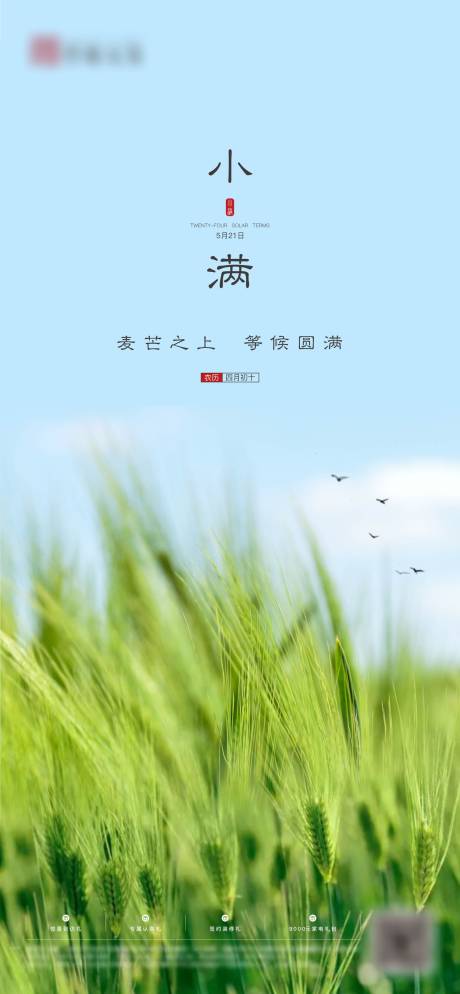 源文件下載【小滿節(jié)氣海報(bào)】編號：39600004721878235