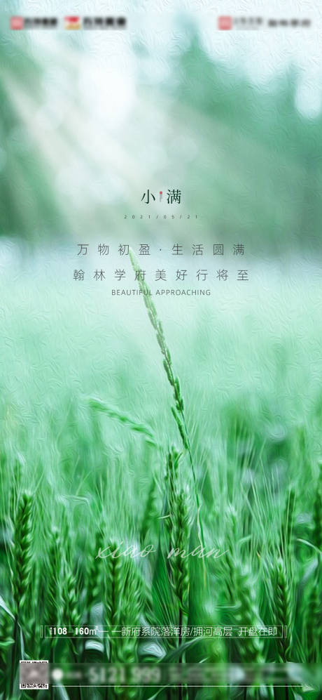 源文件下载【地产小满节气海报】编号：24950004761464420