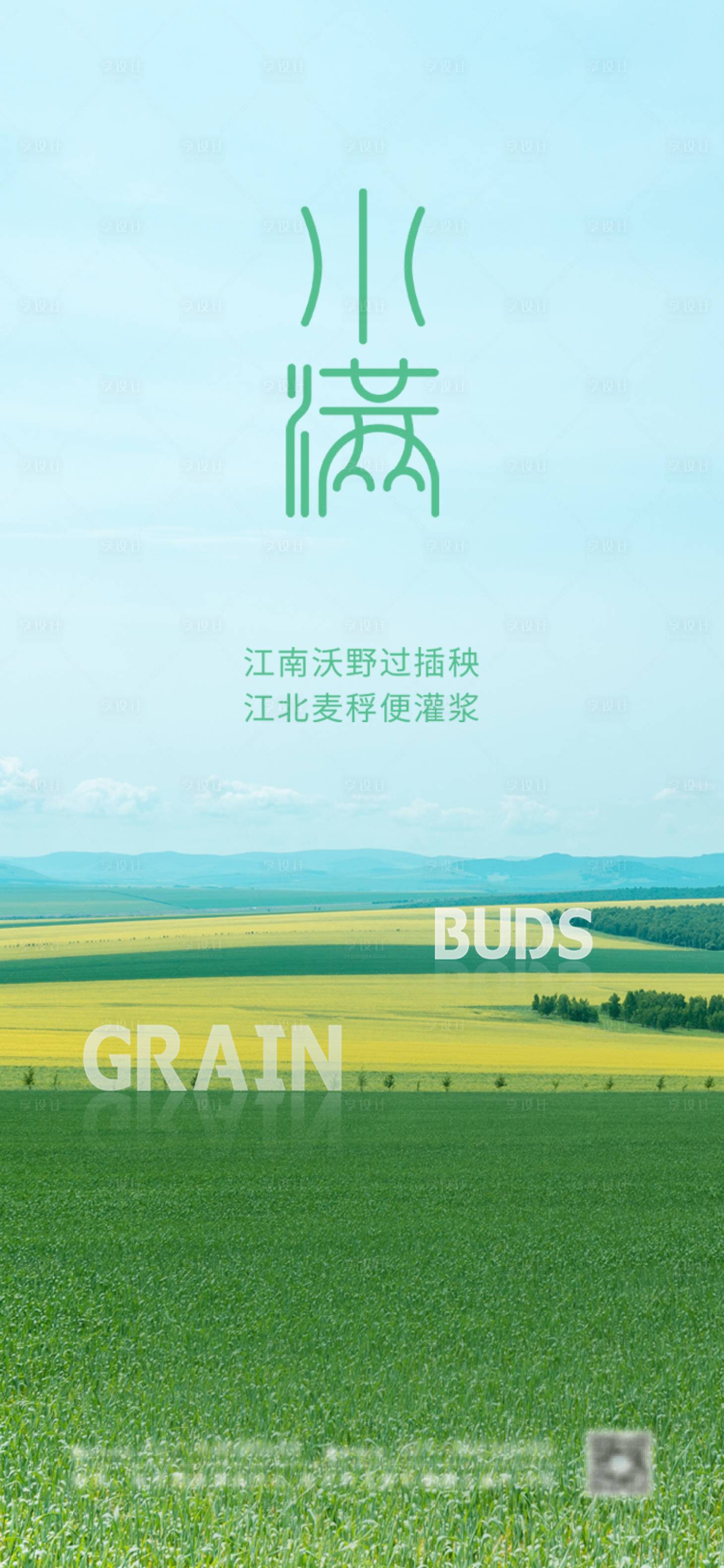 源文件下载【传统二十四节气小满海报】编号：63110004532362847