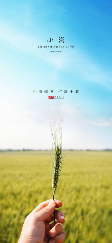 源文件下载【小满节气海报】编号：92530004562947918