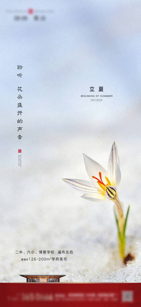 源文件下载【二十四节气立夏】编号：87380004524395370