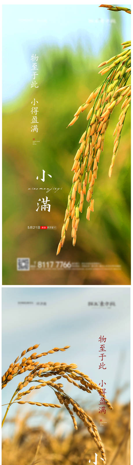 源文件下载【小满节气海报】编号：42930004722049673