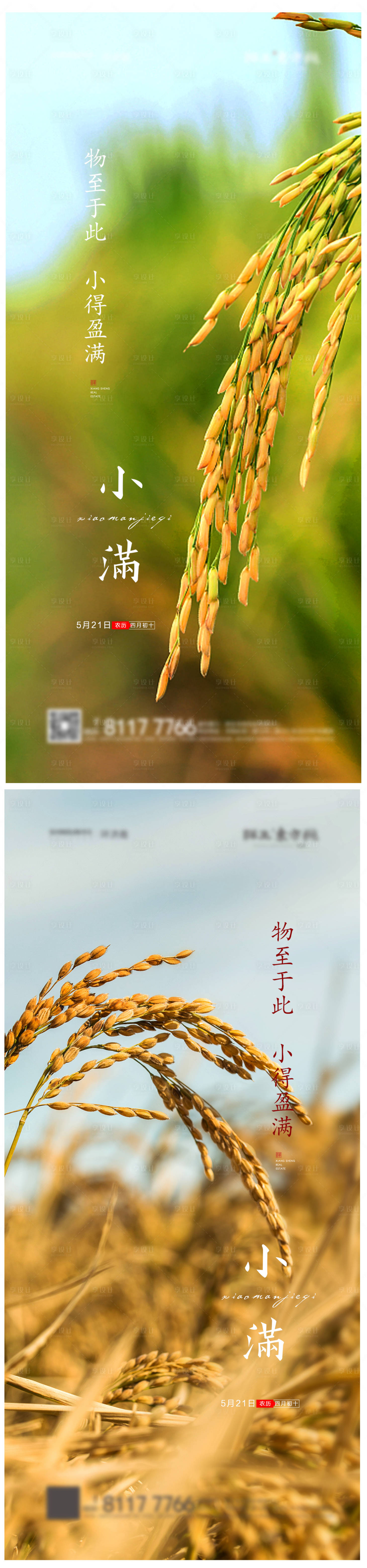 源文件下载【小满节气海报】编号：42930004722049673