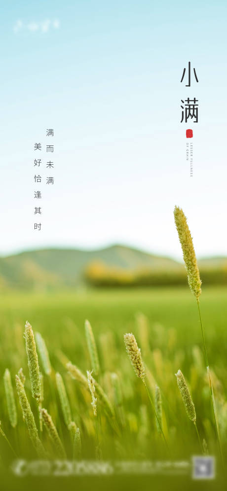 源文件下载【小满节气海报】编号：14180004581316450