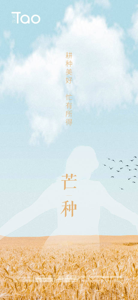 源文件下載【芒種節氣海報】編號：82340004766031796