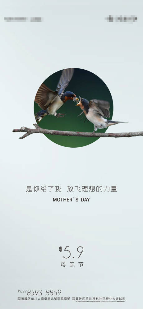 源文件下载【母亲节】编号：91960004566717794
