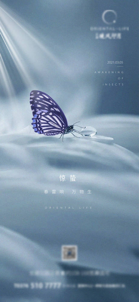 源文件下载【惊蛰节气海报】编号：77730004904311465