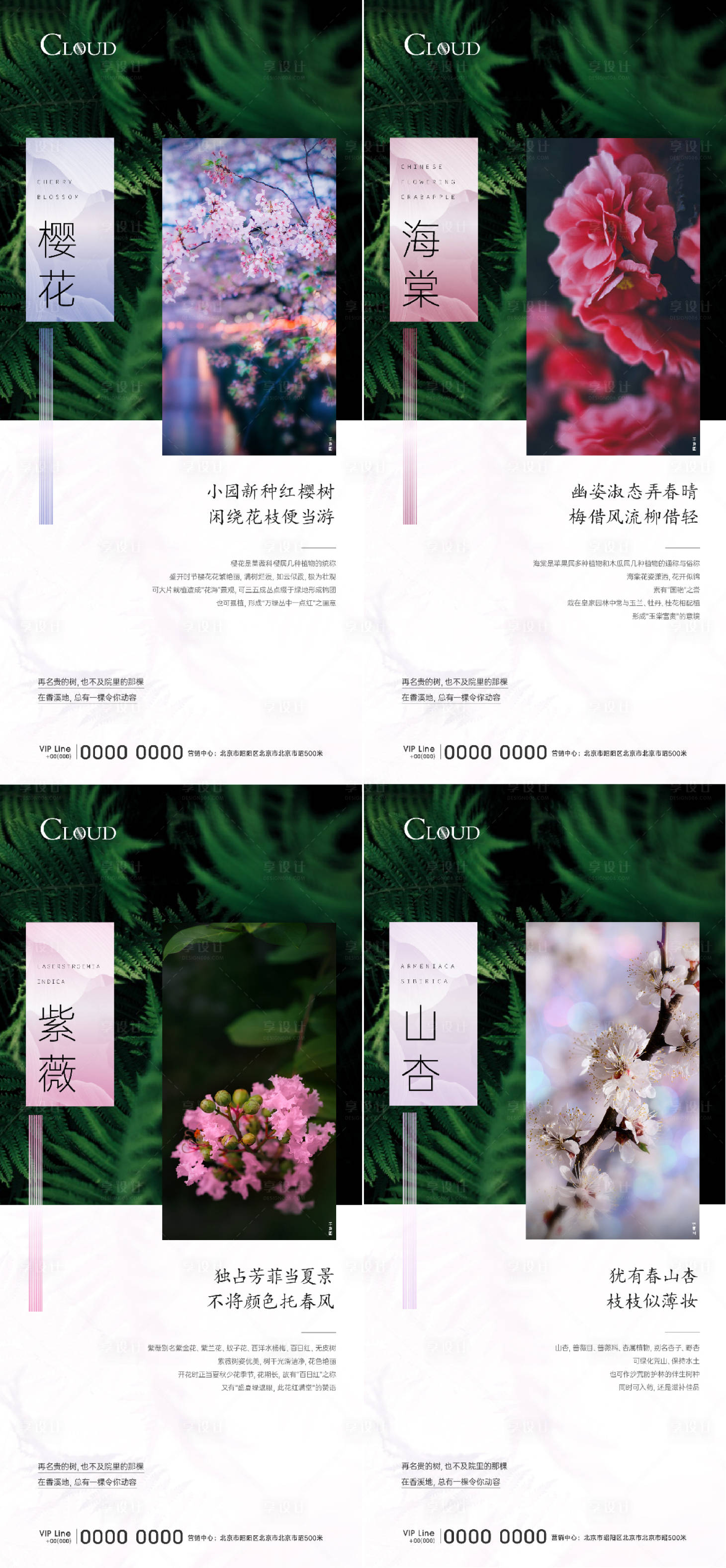 源文件下載【享設計】搜索編號：73610004664974052【園林植物科普海報】