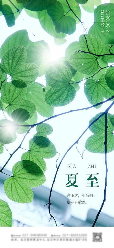 绿色简约清新摄影图夏至节气海报-源文件【享设计】