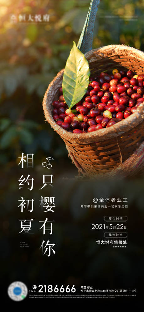 源文件下载【樱桃】编号：22580004860447548