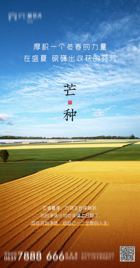 源文件下载【芒种节气海报】编号：21150004901995438