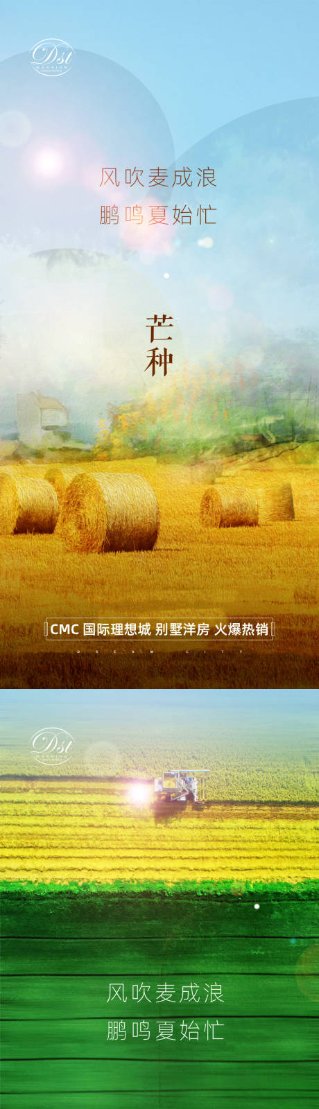 芒种节气海报