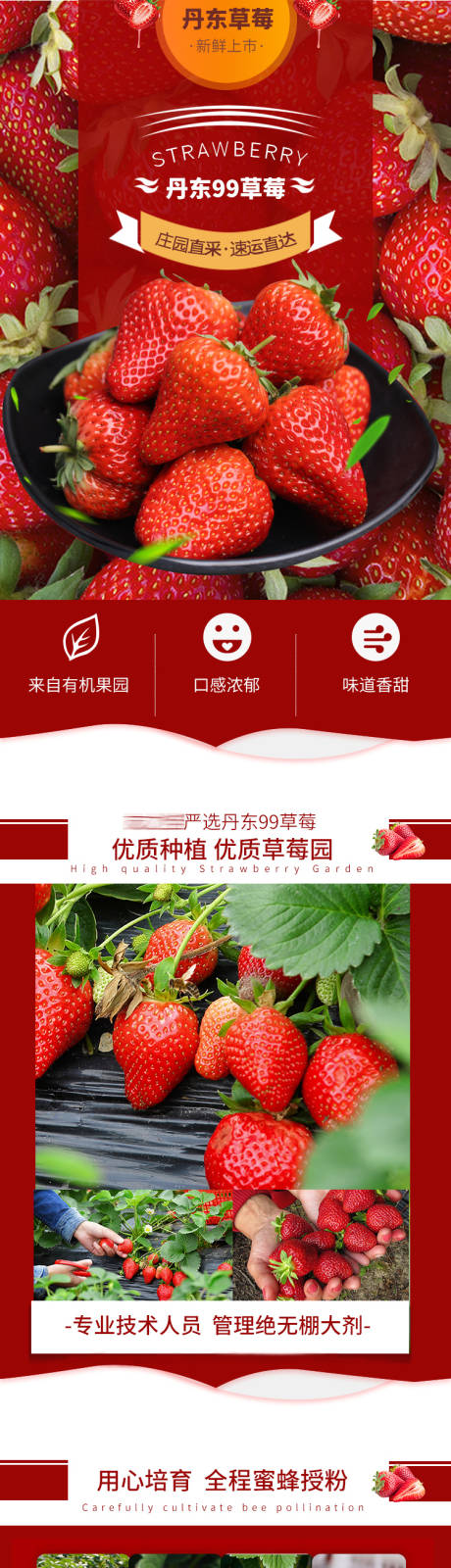 源文件下载【丹东草莓水果详情页】编号：10410004910638979