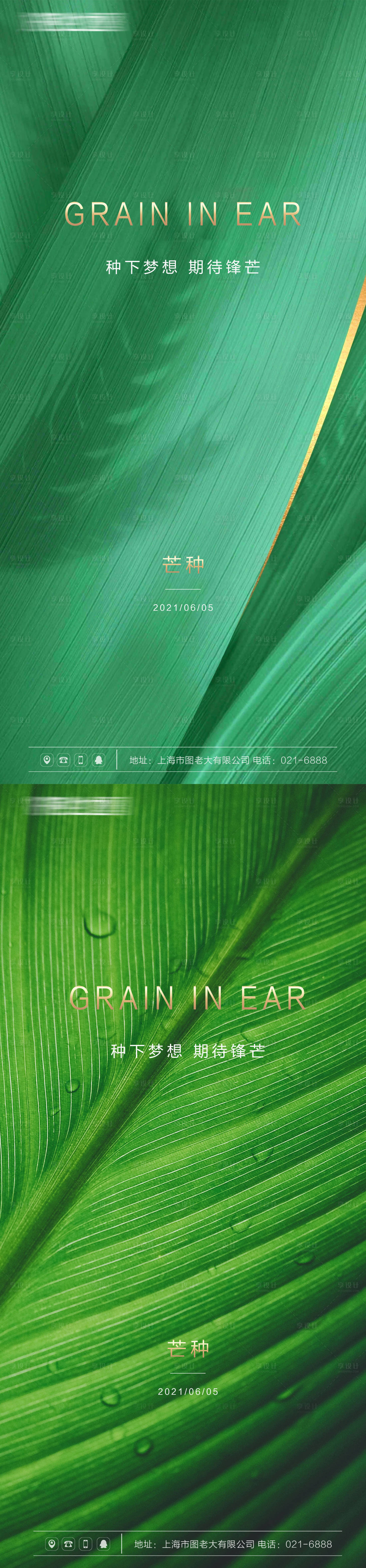 源文件下载【享设计】搜索编号：33830004821097281【芒种节气系列海报】
