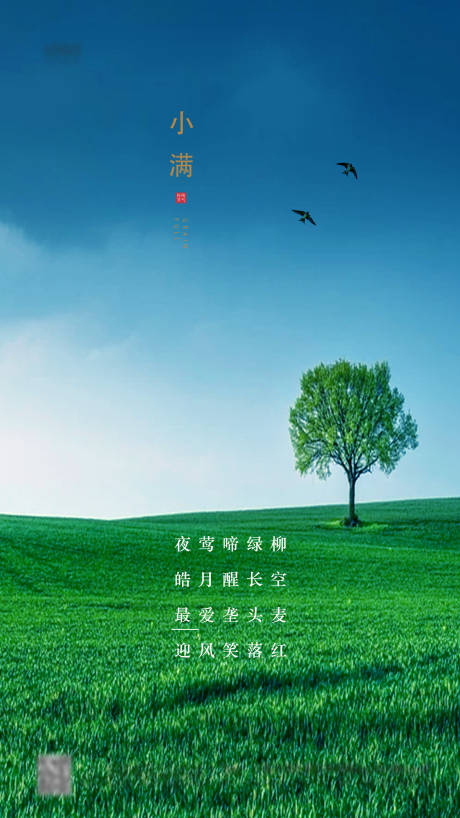 源文件下载【小满简约海报】编号：57280004548069927