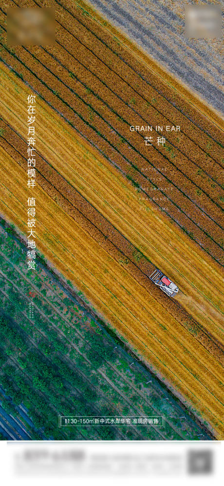 源文件下载【地产芒种海报】编号：66960004914211134