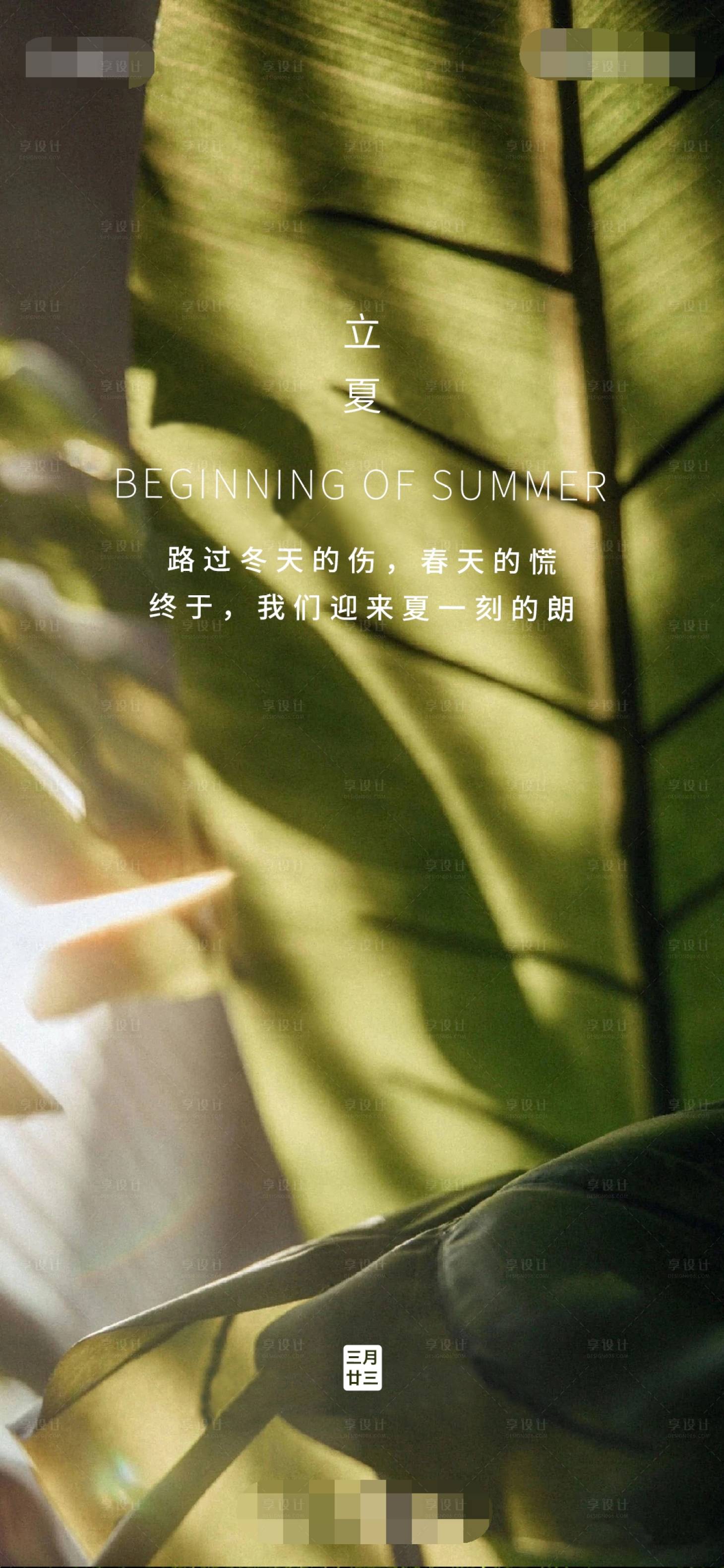 源文件下载【立夏节气海报】编号：24400004526156141