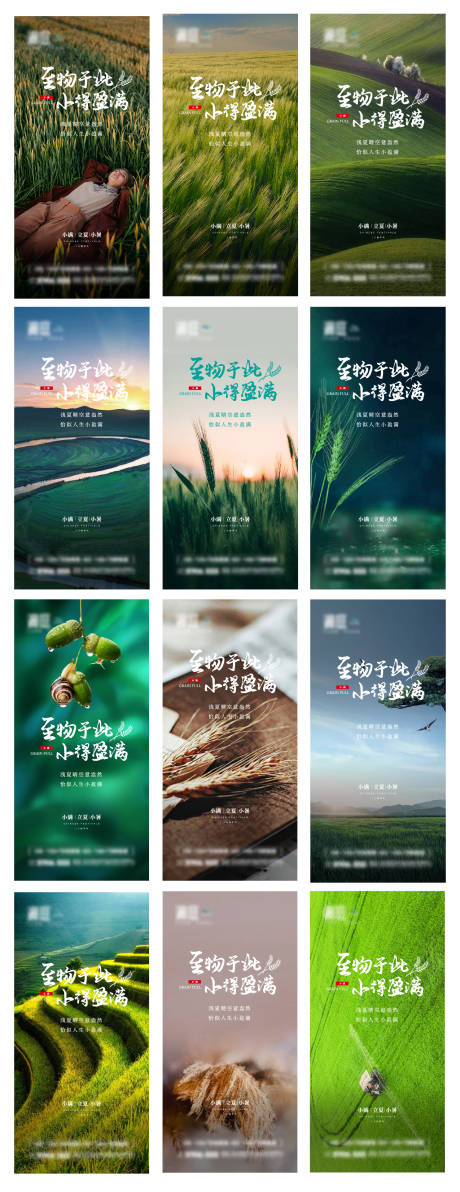 源文件下載【芒種小滿立秋節氣系列海報】編號：89470004750934437
