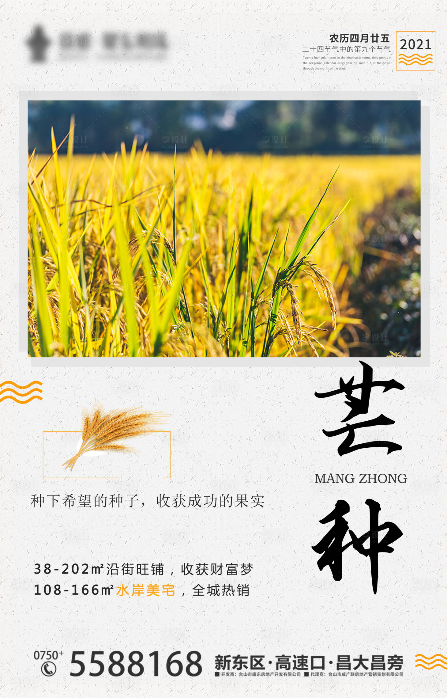 源文件下載【芒種簡約創意海報】編號：71230004559558913