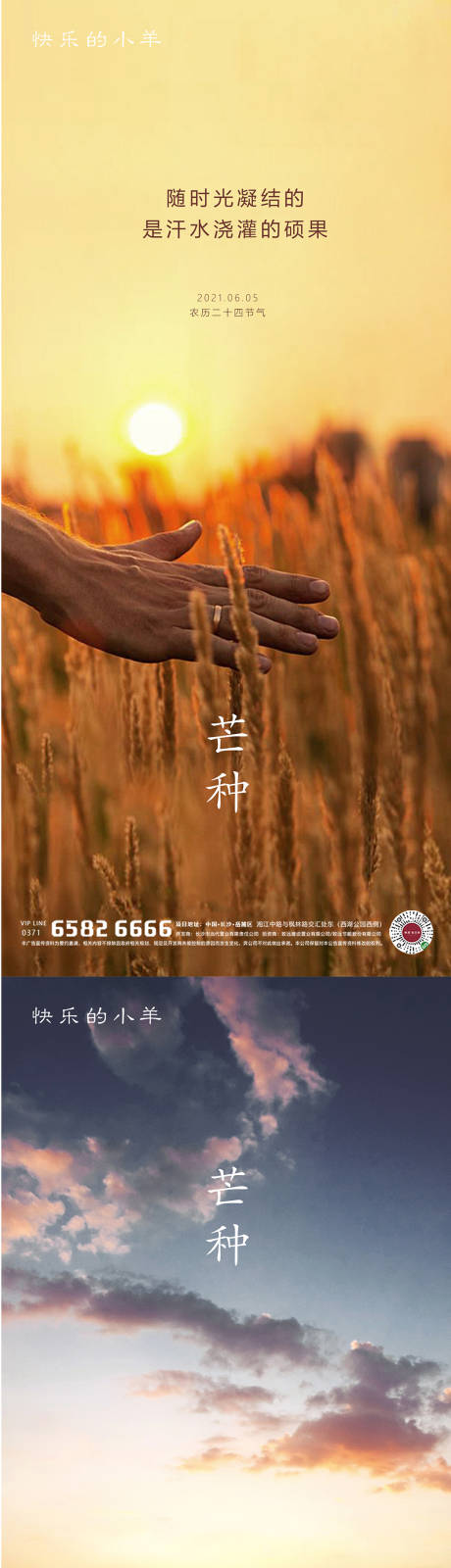 源文件下載【芒種節氣海報】編號：27770004536884713