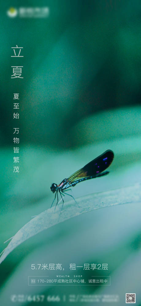 源文件下載【立夏節(jié)氣海報】編號：52290004514483293