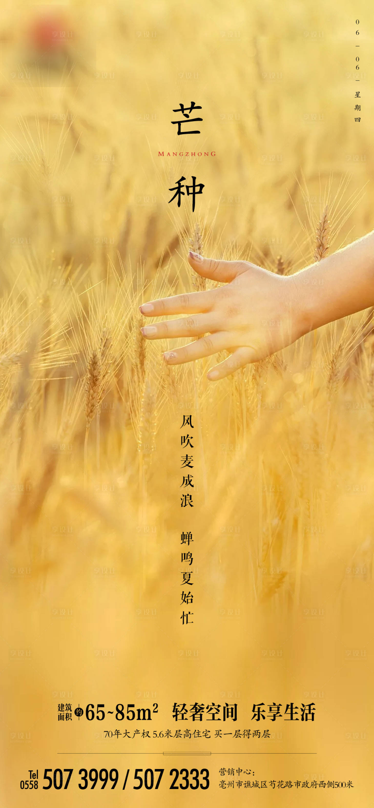 源文件下载【地产芒种节气海报】编号：99120004854275510