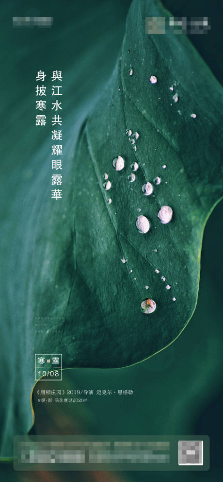 源文件下载【享设计】搜索编号：55440004750472889【寒露单图】