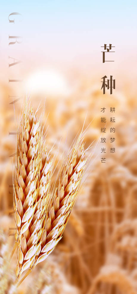 源文件下载【享设计】搜索编号：62930004907053184【二十四节气芒种】