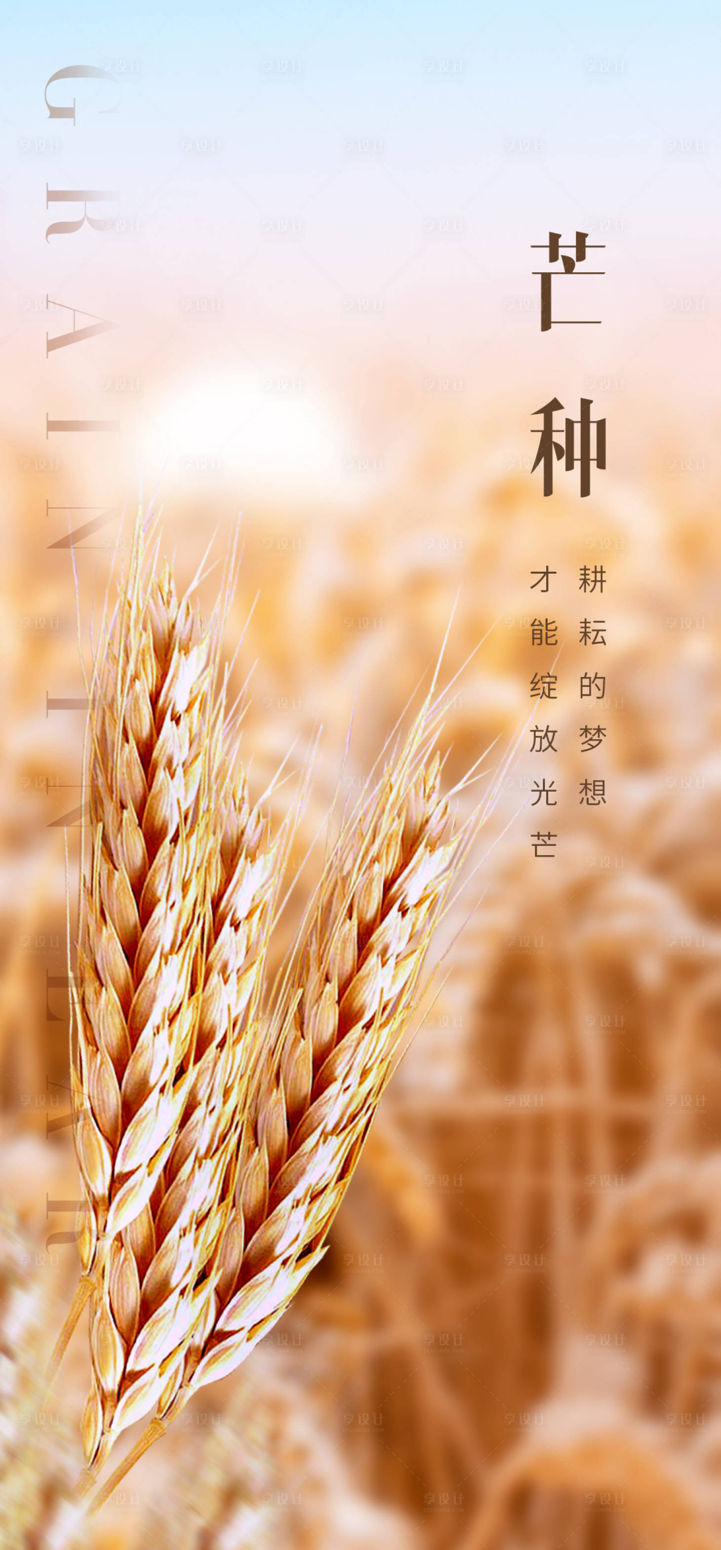 源文件下载【二十四节气芒种】编号：62930004907053184